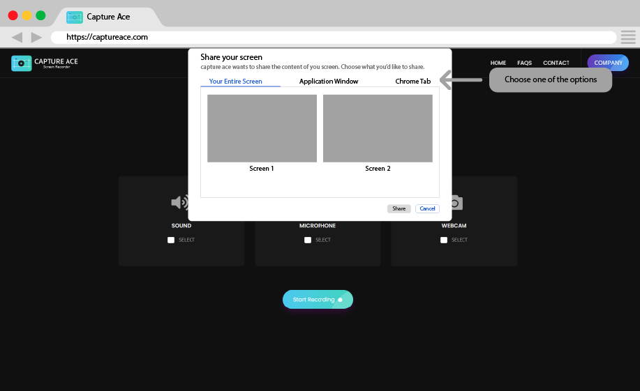 Capture Ace Screen Recording Option